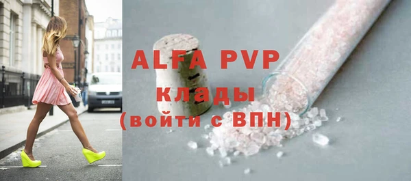 спиды Верея