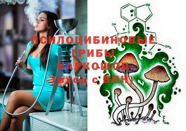 спиды Верея