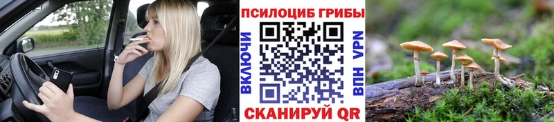 Псилоцибиновые грибы Psilocybine cubensis  Эртиль 